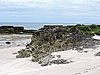 DSCN3579.JPG