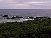 DSCN3580.JPG