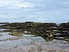 DSCN3582.JPG