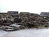 DSCN3584.JPG