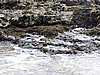 DSCN3593.JPG