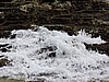 DSCN3594.JPG