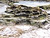 DSCN3597.JPG