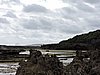 DSCN3603.JPG
