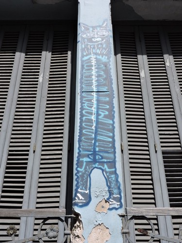 DSCN7009.JPG