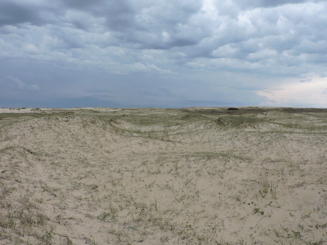 DSCN7077.JPG