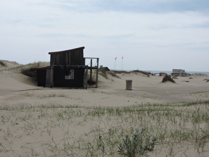 DSCN7080.JPG