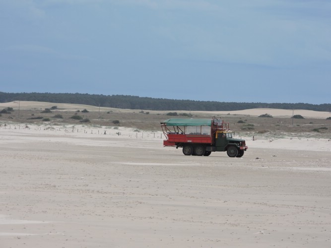 DSCN7088.JPG