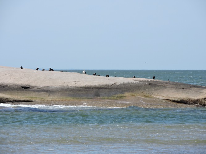 DSCN7140.JPG