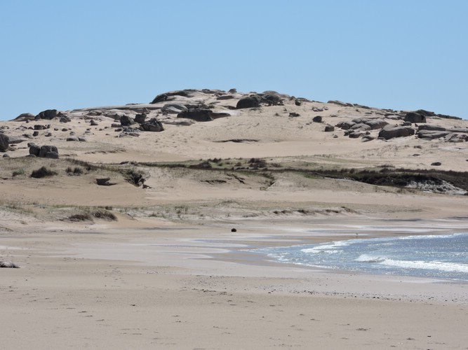 DSCN7142.JPG