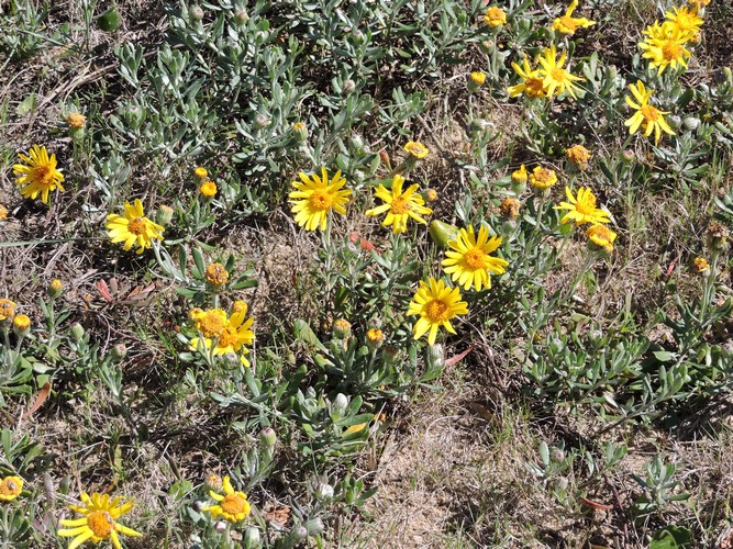 DSCN7148.JPG