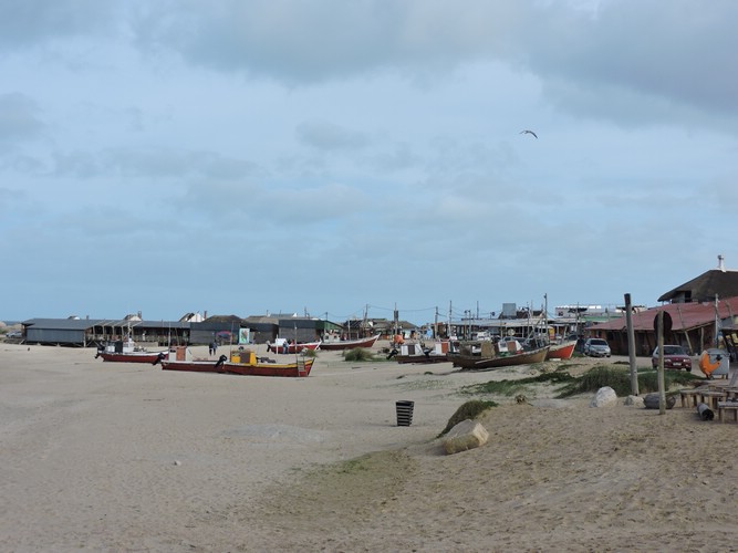 DSCN7178.JPG