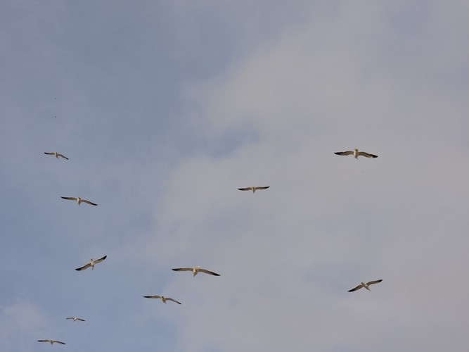 DSCN7196.JPG