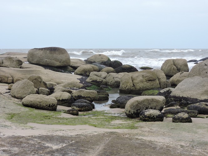 DSCN7208.JPG