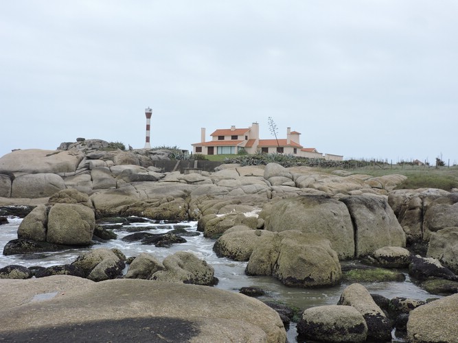 DSCN7209.JPG