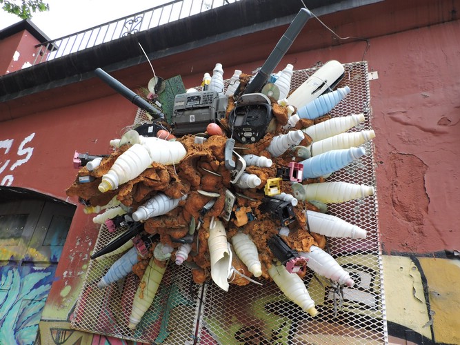 DSCN7261.JPG