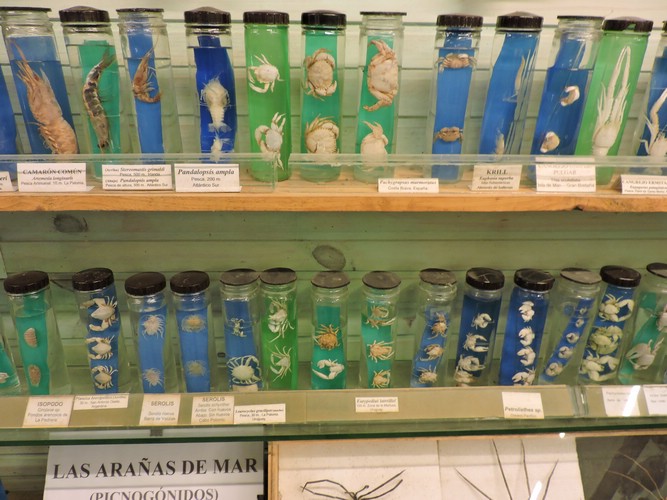 DSCN7336.JPG