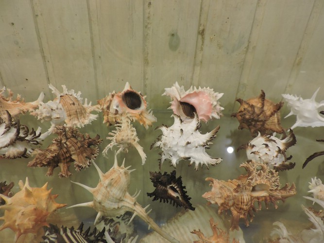 DSCN7349.JPG