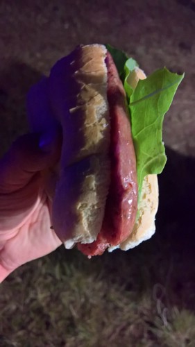 DSCN7361WP_20171015_20_52_29_Pro.jpg