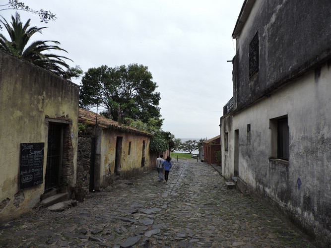 DSCN7367.JPG