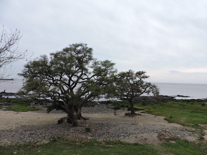 DSCN7370.JPG