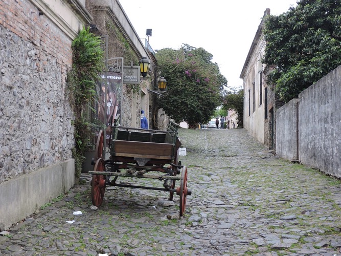 DSCN7385.JPG