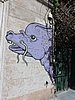 DSCN7005.JPG