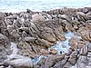 DSCN7053.JPG