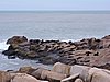 DSCN7054.JPG