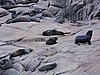 DSCN7056.JPG