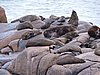 DSCN7058.JPG