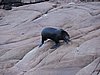 DSCN7060.JPG