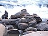 DSCN7064.JPG