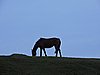 DSCN7067.JPG