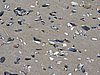 DSCN7071.JPG
