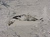 DSCN7076.JPG