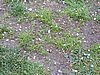 DSCN7089.JPG