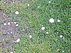 DSCN7090.JPG