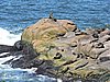 DSCN7098.JPG