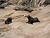 DSCN7105.JPG