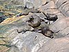 DSCN7117.JPG