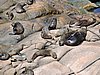 DSCN7119.JPG