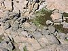 DSCN7122.JPG
