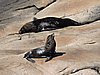 DSCN7123.JPG
