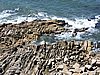 DSCN7124.JPG
