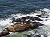 DSCN7129.JPG