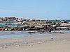 DSCN7141.JPG
