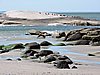 DSCN7145.JPG
