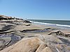 DSCN7146.JPG