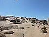 DSCN7150.JPG